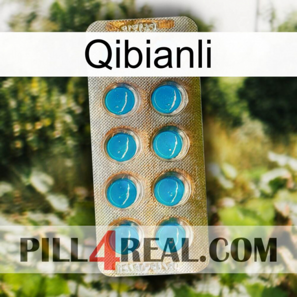 Qibianli new09.jpg